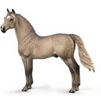 Collecta Figurine - Morgan Hengst - 1:20 - Paarden - Handgeschilderd - Miniatuur