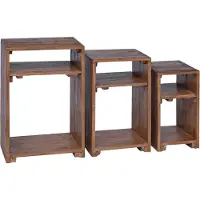vidaXL Accenttafel met plank met opslag 3 st Bruin Massief Mahoniehout