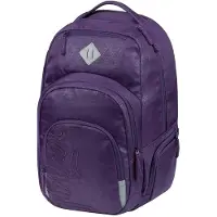 Baagl Coolmate Plum Rugzak 35L
