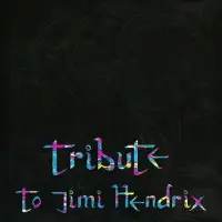 Mascot Licentie Tribute to Jimi Hendrix