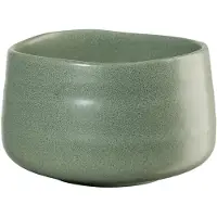 Asa selection Kom Moribana Matsu Green 12 cm
