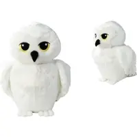 Harry Potter Toys Knuffel Warner Bros Hedwig Wit 30 X 27 X 45 Cm
