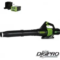 Greenworks 60V accu bladblazer + 2 Ah accu