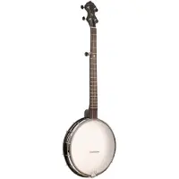 Gold tone AC-12 5-snarige open back banjo met gigbag