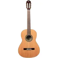 Ortega Traditional 4/4 + Pro Gig Bag