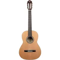 Ortega Traditional 4/4 Satin + Pro Gig Bag