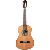 Ortega Traditional 4/4 + Pro Gig Bag