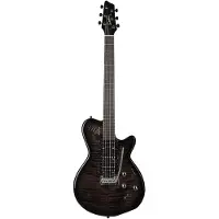 Godin Xtsa Leaftop Trans Black