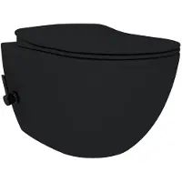 Creavit Hangend Toilet - 35.3x51cm - Bidetsproeier warm/koud - spoelrandloos - mat zwart FE322-34SM00E-0004