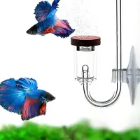 VHV - CO2 diffuser - CO2 reactor - Aquarium CO2 - Acryl - Voor Aquarium Planten - Geschikt voor aquaria - Met zuignap - Voor aquariumplanten - M - Transparant