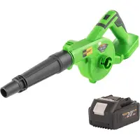 Procraft PB22bb accu bladblazer 20 V + 1x accu 4,0 Ah - zonder oplader