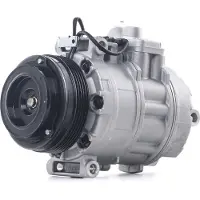 RIDEX 447K0481 Aircopomp