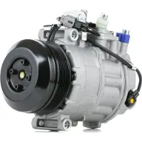 RIDEX 447K0442 Aircopomp