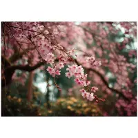 WALLARENA - Behang 300x210 cm - Fotobehang - Vliesbehang - Bloemen motif - Voor de slaapkamer van de salon - Op Flizelinie