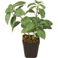 Viana Kunstmatige Basilicum in Pot Kruiden in Groen H22cm
