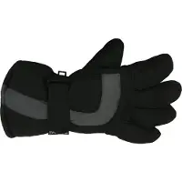 Thinsulate 3m Dunsulate winter skihandschoenen voor kinderen - Zwart