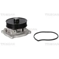 TRISCAN 8600 23103 Waterpomp