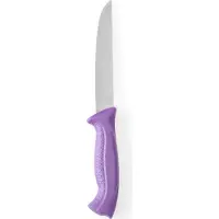 Hendi Vleesmes – Paars handvat – HACCP richtlijnen – 280 mm