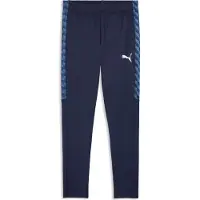 Puma Sportbroek 'TeamLiga26' navy / royal blue/koningsblauw / donkerblauw / wit
