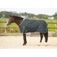 Harry's Horse Deken Thor 100gr Grijs - 155/205