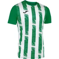 Joma Inter Iii T-shirt Met Korte Mouwen Groen M Man