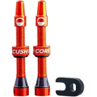 CushCore Presta Tubeless Kleppen