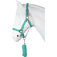 Horka Dime halsterset Kleur: turquoise, Maat paard: pony