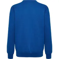 Hummel Sportief sweatshirt 'GO 2.0' kobaltblauw / wit
