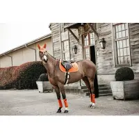 Kentucky Horsewear Horsewear - Zadeldoek velvet jumping oranje pony