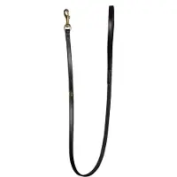 Dyon Classic Hondenriem