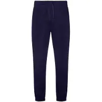Ecologie Heren Crater Gerecycled Joggingbroek (Marine)