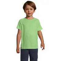 Sols Kinderen/Kinderen Sportief Raglan T-shirt (Appelgroen)