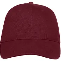 Sols Buffalo 6 panel baseballpet (Bourgondië)