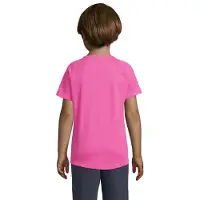 Sols Kinderen/Kinderen Sportief Raglan T-shirt (Neonroze)