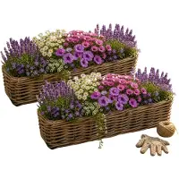Mega Collections Plantenmand Java - 2x - rotan - naturel - rechthoek - 60 x 16 x 15 cm - plantenbak buiten/binnen
