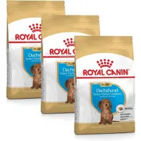 Royal Canin Dachshund - Puppy-Hondenvoer - 3 x 1.5 kg