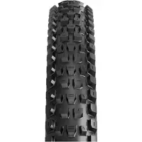 Maxxis - Dissector II 29'' (61-622) Exo TR Dual - Fietsband 29'' x 2,4'' WT - 61-622, zwart