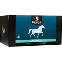 Synovium Lactaplus
