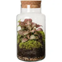 Atmosphera Pot / vaas van glas voor planten ecosysteem - deksel van kurk - D19 x H36 cm - terrarium