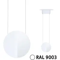 Paulmann Alejandro 230V-railsysteem lamp URail 10 W Signaalwit
