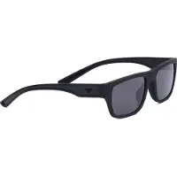 Emporio Armani Zonnebril '0EA4267U' zwart