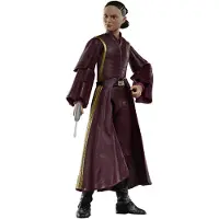 Hasbro Star Wars Padmé Amidala-figuur Uit De Episode I-serie 15 Cm