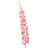 Viana Steppe kaars Desert Tail Roze 106cm