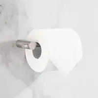 Saniclear Academy toilet rolhouder RVS