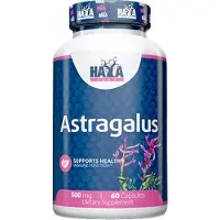 Haya labs Astragalus 500mg - 60 caps
