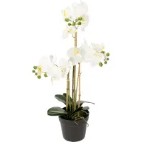Viana Kunstmatige orchidee in een pot voor een harmonieuze sfeer, wit, 60 cm