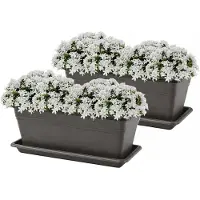 PlasticForte Plantenbakken met water opvangschotels - antraciet - 2x stuks - 40 x 18 x 15 cm - tuin - balkon - terras - rechthoek