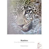 Hahnemuhle Bamboo 290g A3+ Box 25 vel