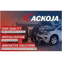 ACKOJA A38-0643 Laadluchtslang