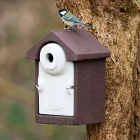 Cj Wildlife Nestkast Sevilla WoodStone 32 mm Bruin | Houtbetonnen vogelhuisje | Vivara | 10 jaar garantie | Aanbevolen door Vogelbescherming Nederland